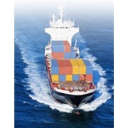 专业高效，连接全球贸易——广州佳泽货运代理有限公司介绍